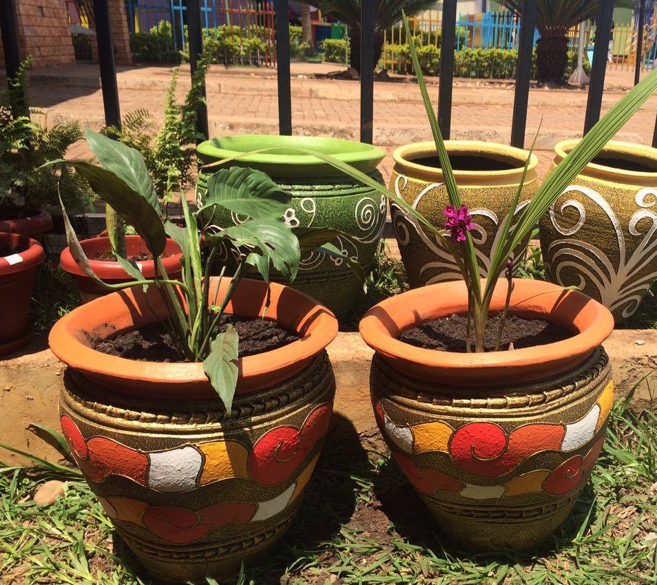 Maua and More Kensington Shopping Boulevard, Kensington Luxury Heights Kyanja, Kampala, Uganda, Gardeners, Gardens, Kampala Uganda Gardening and Landscaping, Home Decor, Interior & Exterior Design, Herbs, Flowers, Flower Pots Kampala Uganda, Ugabox